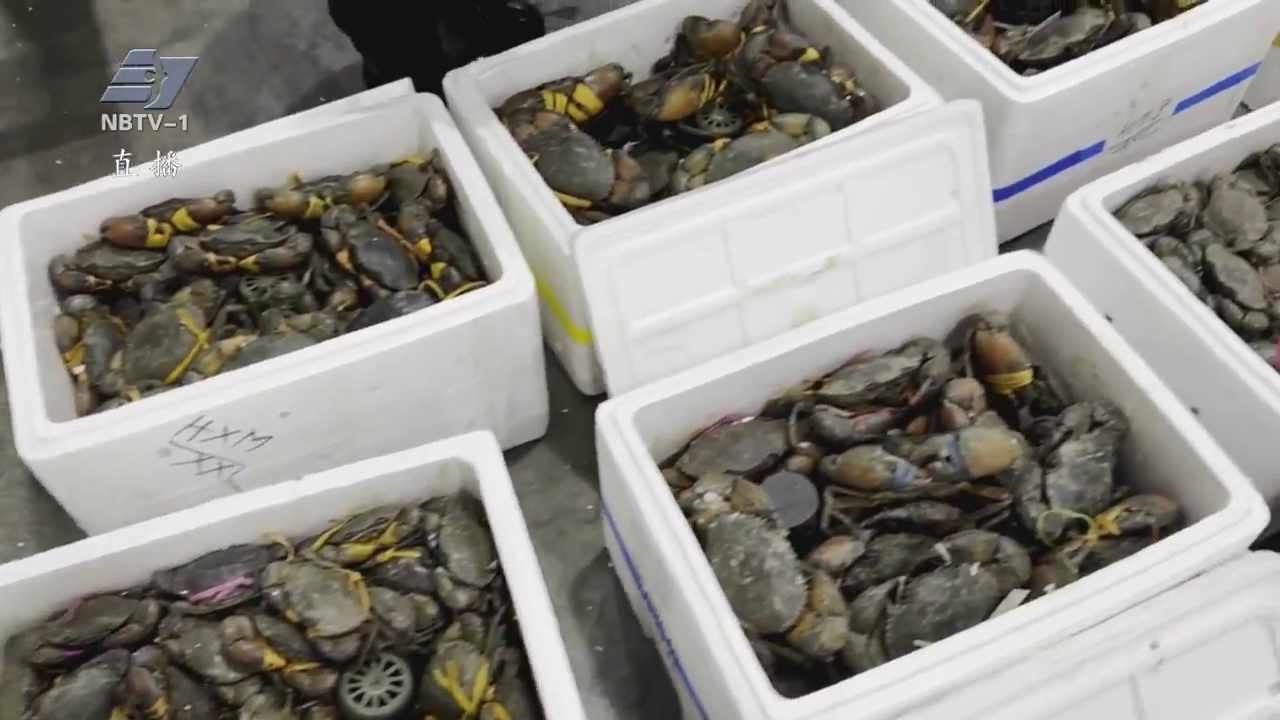 增长超800% 宁波空港生鲜进口跑出“开门红”加速度