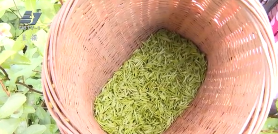 余姚67家“共富工坊”让3600多名闲置劳动力就业增收