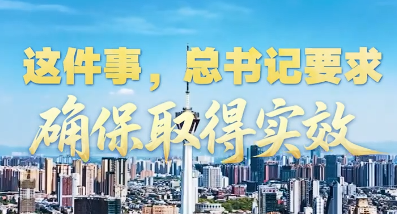 壹视界·时习新语｜这件事，总书记要求确保取得实效