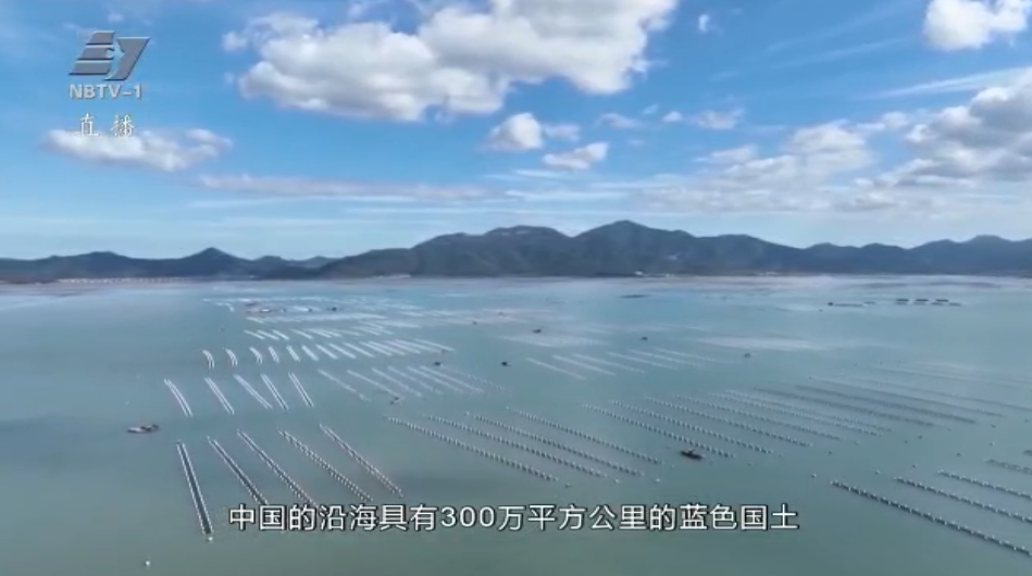 绿约甬城丨宁波：蓝碳经济驶入快车道 海洋生态价值加速变现