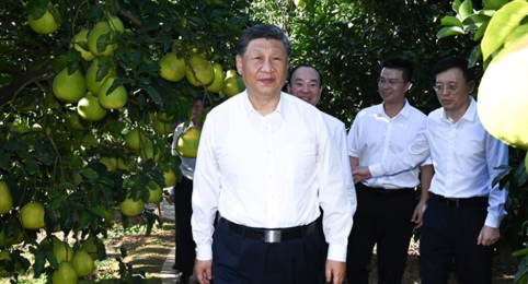 时政微观察丨科学决策，为人民出政绩