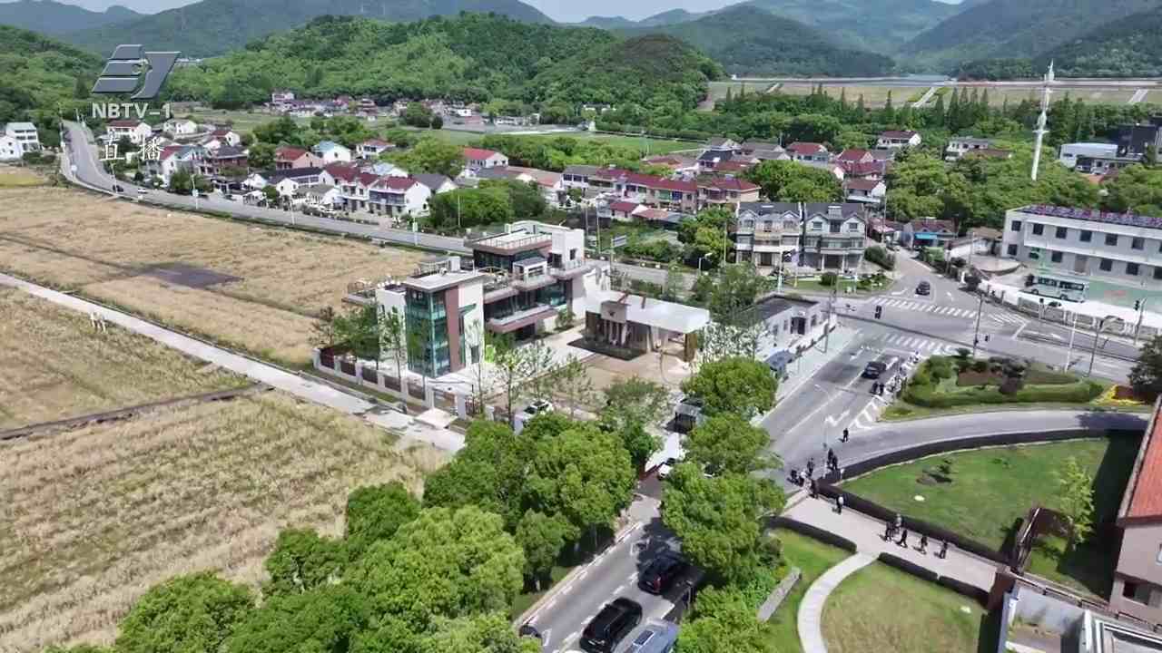 从“一村富”到“连片兴” 片区组团书写乡村共富答卷