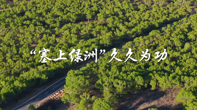 学习·故事丨“塞上绿洲”久久为功