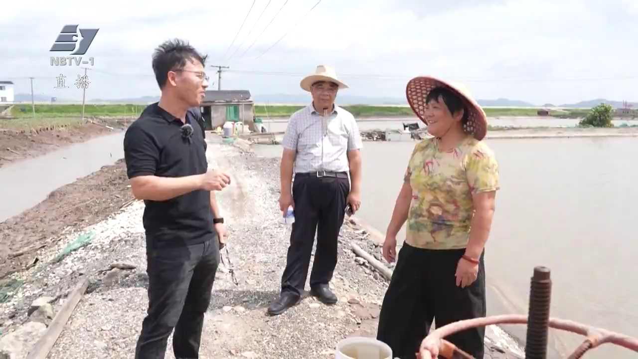 台风过后：农技指导到田头 保险理赔不等人