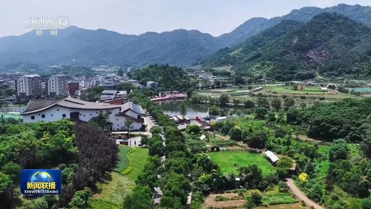 视频丨“义乌发展经验”启示：在全面小康的道路上不落下一个