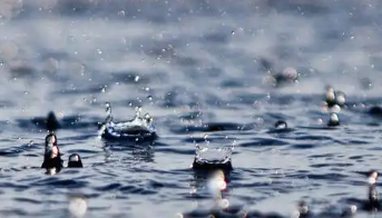 政已阅丨一月内两迎台风，浙江6市市长电视讲话有何不同