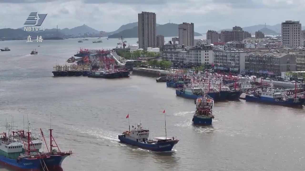 防御台风“沙德尔”  | 象山大中型渔船有序归港避风