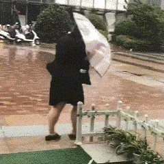 台风天意外受伤怎么办？这些“保命”急救法请收好！