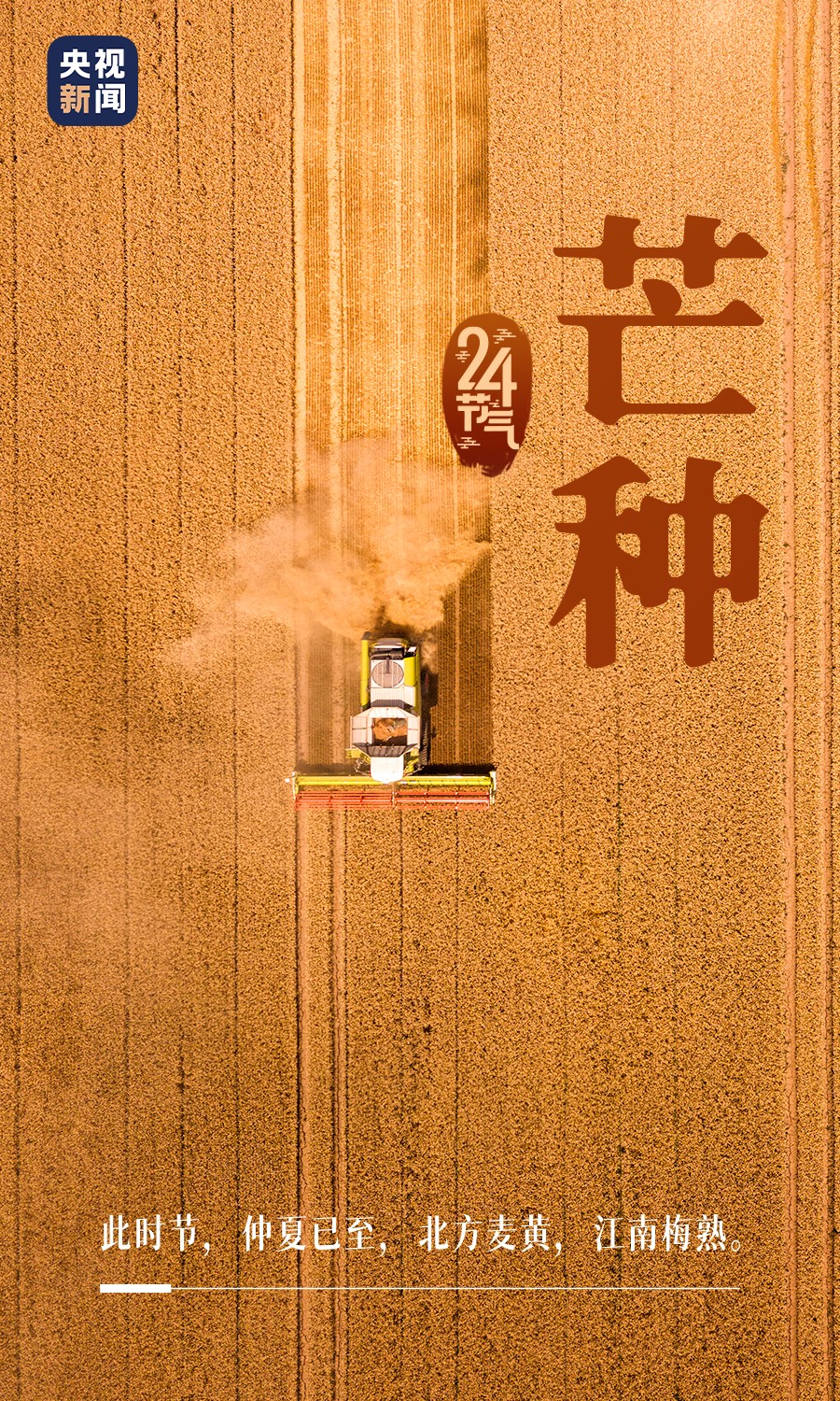 今日，芒种